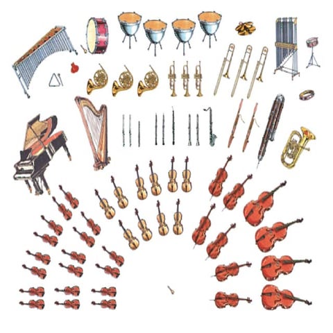 Musica II Didactica V