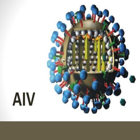 Avian Influenza Virus