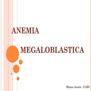 2  Anemia Megaloblastica