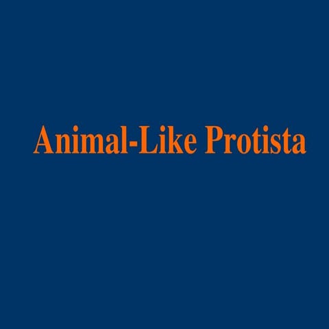2-Animal-like protists.ppt Animal-like protists are called protozoa