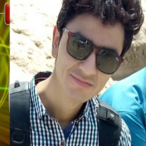 Professional ethics | attitudes and-values| syed ibrahim rizvi