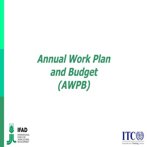 Annual Work Plan and Budget (AWPB)