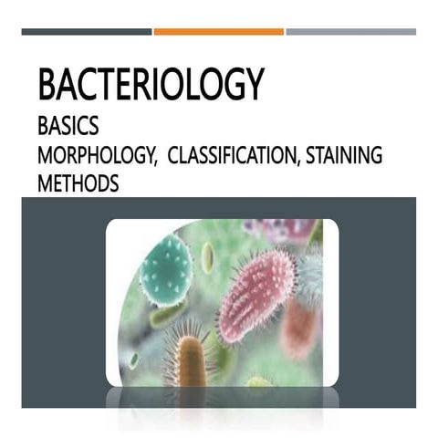 2- bacteriology.pptx a long descriptive information about bacteria