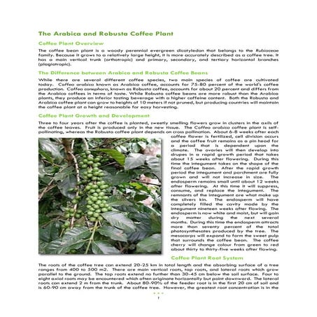 MICROSOFT WORD EXERCISE - FORMATTING AND INSERTING PICTURE