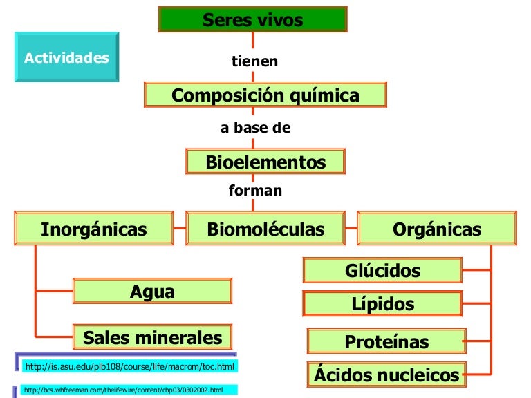 Imagen relacionada