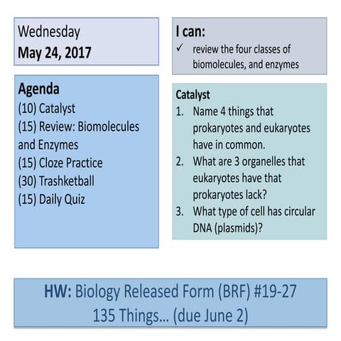 2 - Biomolecules and Enzymes.pptx