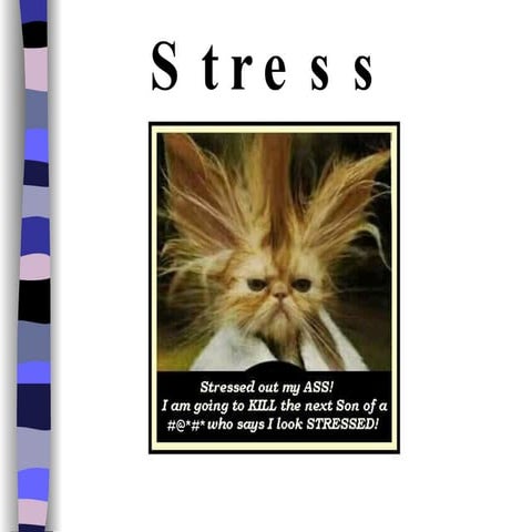 2. Body Response To Stress