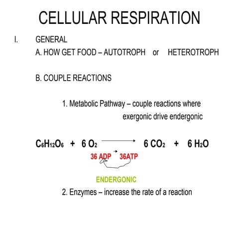 2. cellular respiration