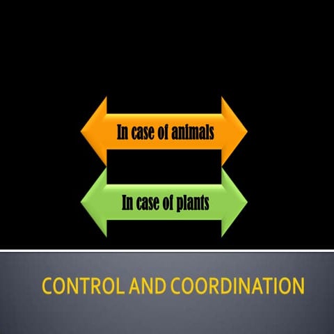 2. control and coordination