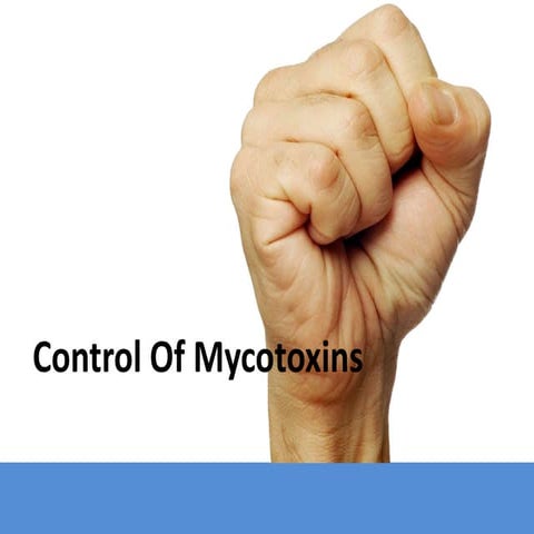 Control Of Mycotoxins In Poultry