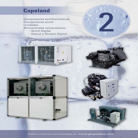 Ramón Vizcaíno - Copeland