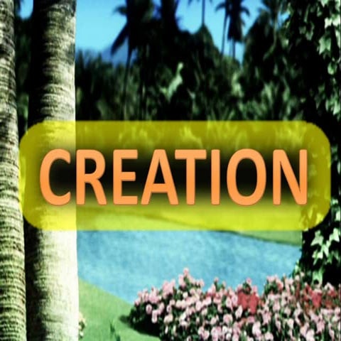 2. creation