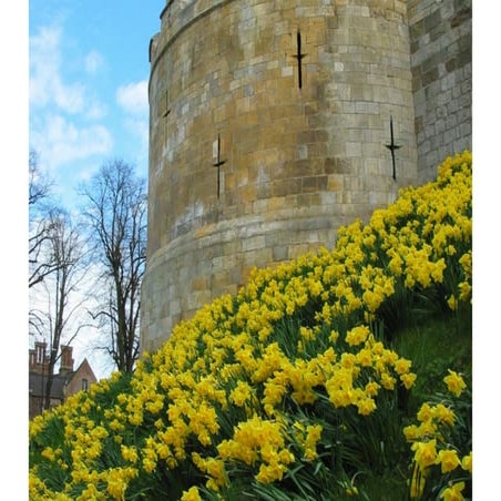 2.People Changing Places.  David Warburton