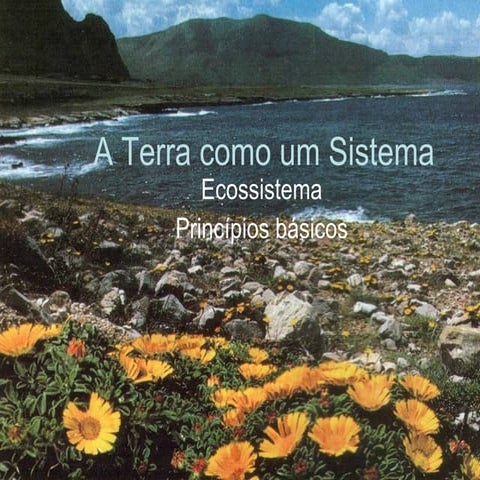 2 ecossistemas | PPT