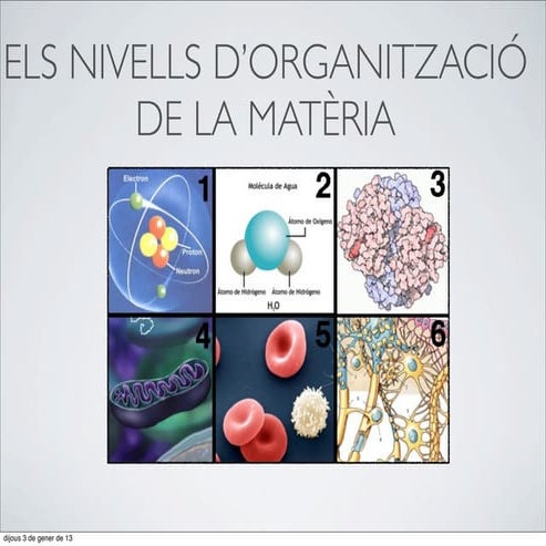 02. Els nivells d’organització de la matèria