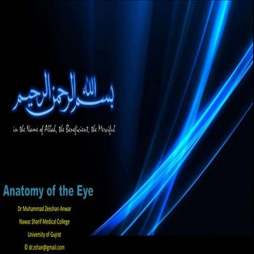 2 eye bony orbic and ball