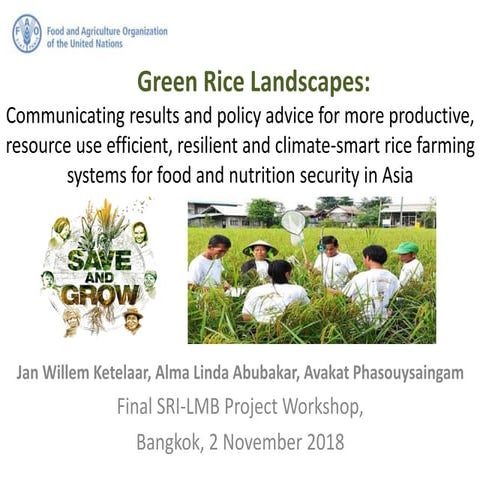 Jan Willem Ketelaar - Save and Grow - Green rice Landscapes