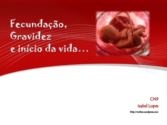 fecundação, gravidez e início da vida 