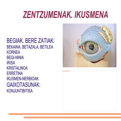 3.LH. 2.GAIA. ZENTZUMENAK (II)
