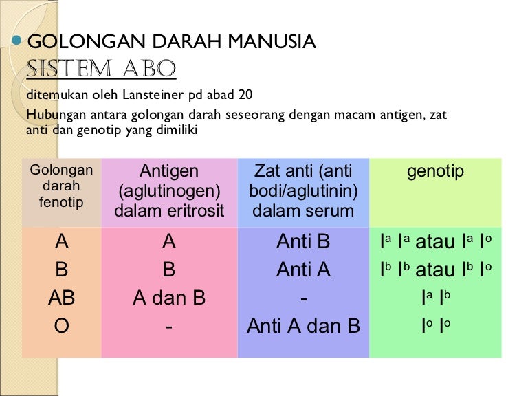 2. golongan darah