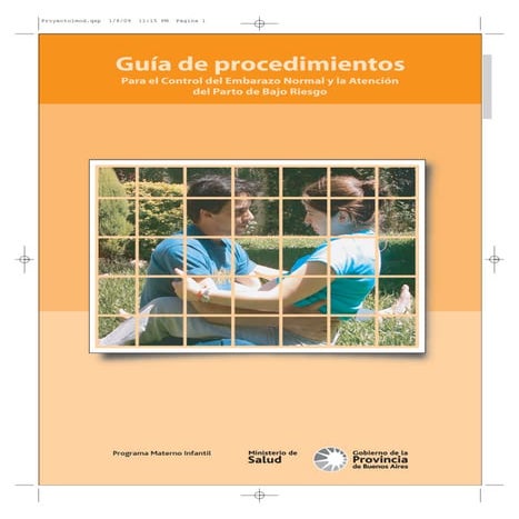 2 guiaprocedimientos