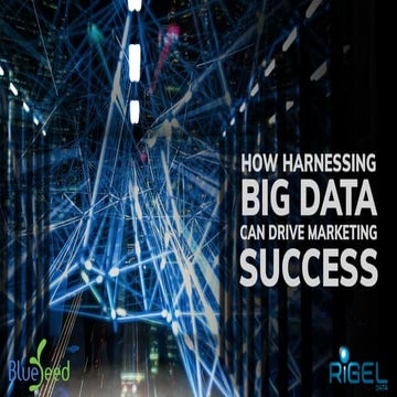 How Harnessing Big Data Can Drive Marketing Success | PPT
