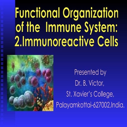 Functional organization of the Immune System