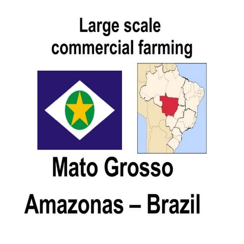 2 - Intro To Mato Grosso
