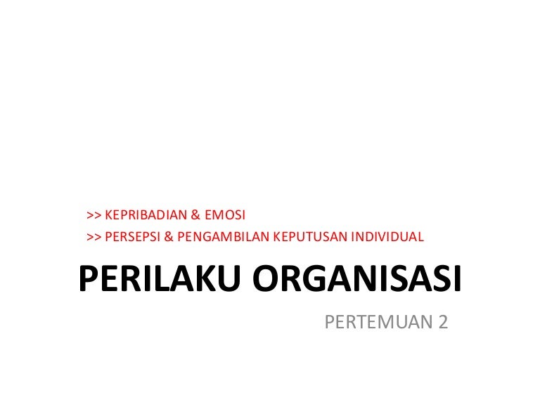 2 Kepribadian Emosi Persepsi Pengambilan Keputusan Individu