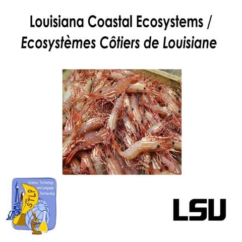 Louisiana coastal ecosystem