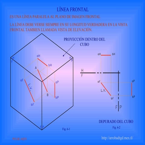 2. líneas frontal