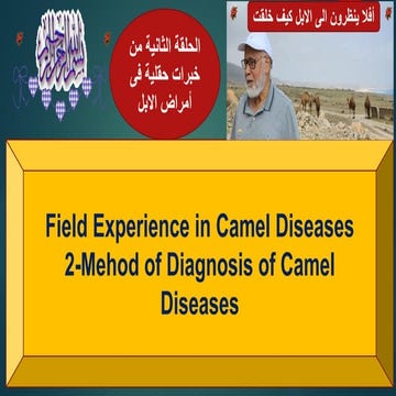 2-Method of Diagnosis of Camel Diseases (Clinical Examination) Prof Dr ...