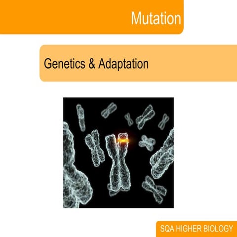 2. Mutation