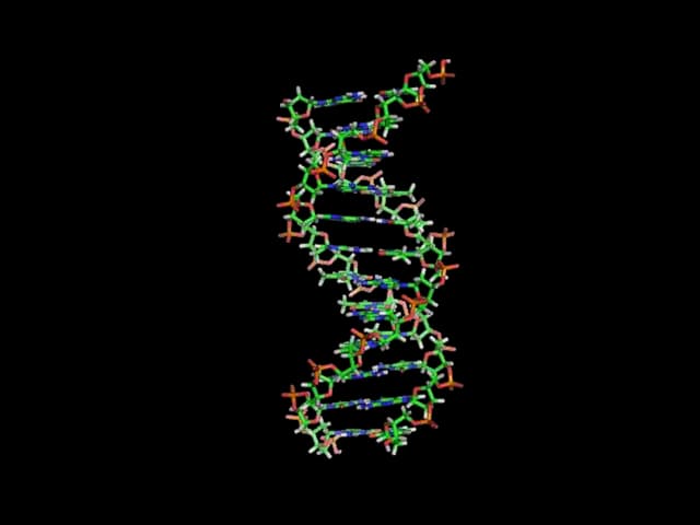 2   Nocoes Basicas De Hereditariedade