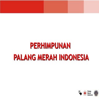 Organisasi PMI PPT (Materi PMR)