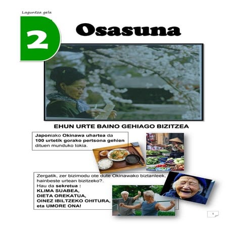 2  OSASUNA  Zubia Santillana LH 4