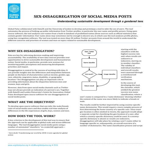 Sex Disaggregation of Social Media Posts - Tool Overview