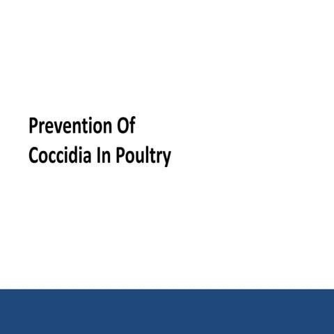 Prevention Of Coccidia In Poultry