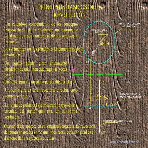 2. principios basicos de la revolución