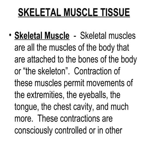 2.  skeletal muscle tissue