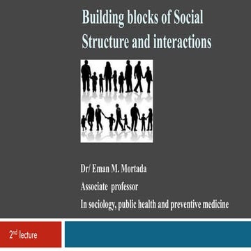 2  social structure