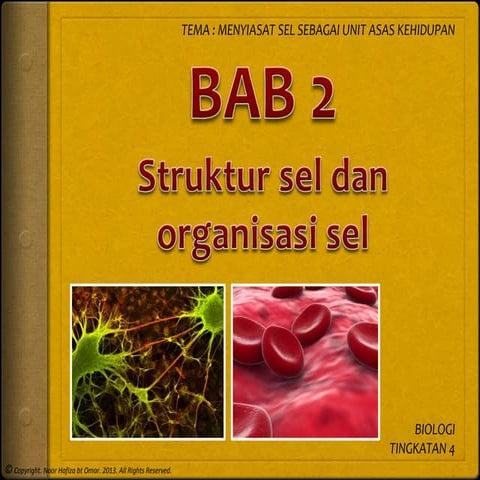 Bab 2 Struktur sel dan organisasi sel