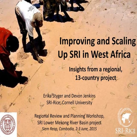 Improving and Scaling Up SRI in West Africa: Insights from a regional, 13-cou...