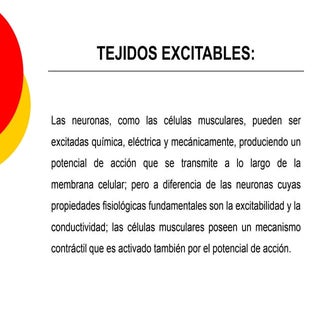 2.Tejido Muscular Y Nervioso