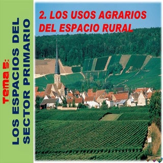 LOS USOS DEL ESPACIO AGRARIO