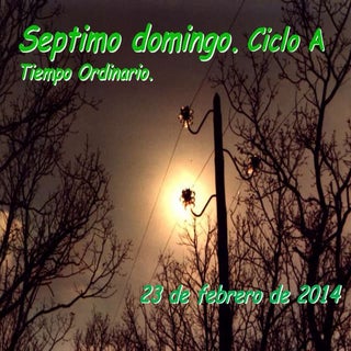 DOMINGO VII DEL TO. CICLO A. DIA 23...