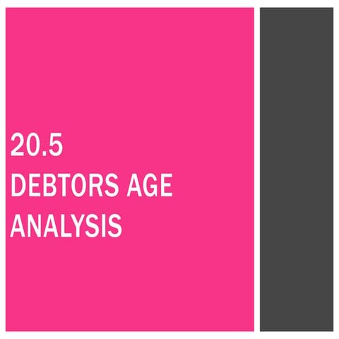 20.5 Debtors Age Analysis
