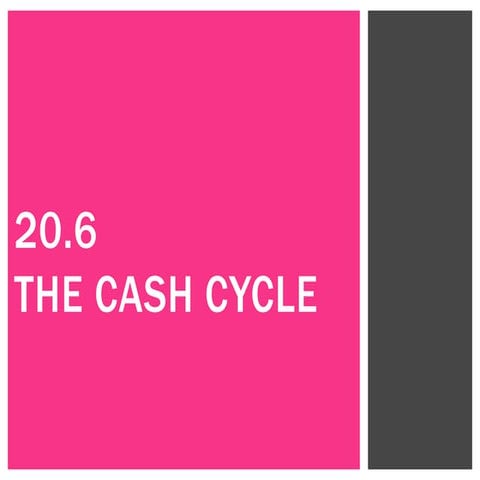 20.6  The Cash Cycle