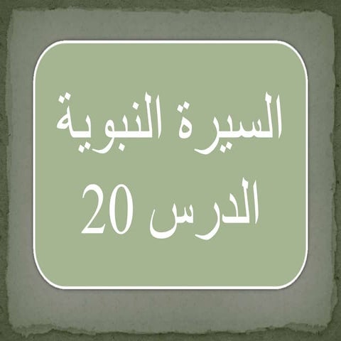 درس في السيرة النبوية (20) | الشيخ وائل عبلا