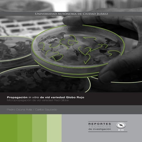 20. propagación in vitro